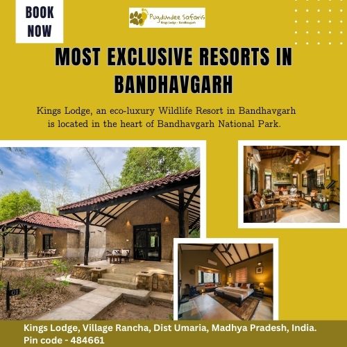Most Exclusive Resorts In Bandhavgarh